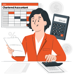 Freelance Chartered Accountat In Delhi