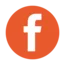 Freelance WordPress Developer